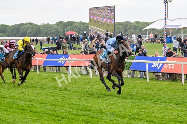 150525-Merchant-5327 - Race 7 5.25pm Haxby Handicap
