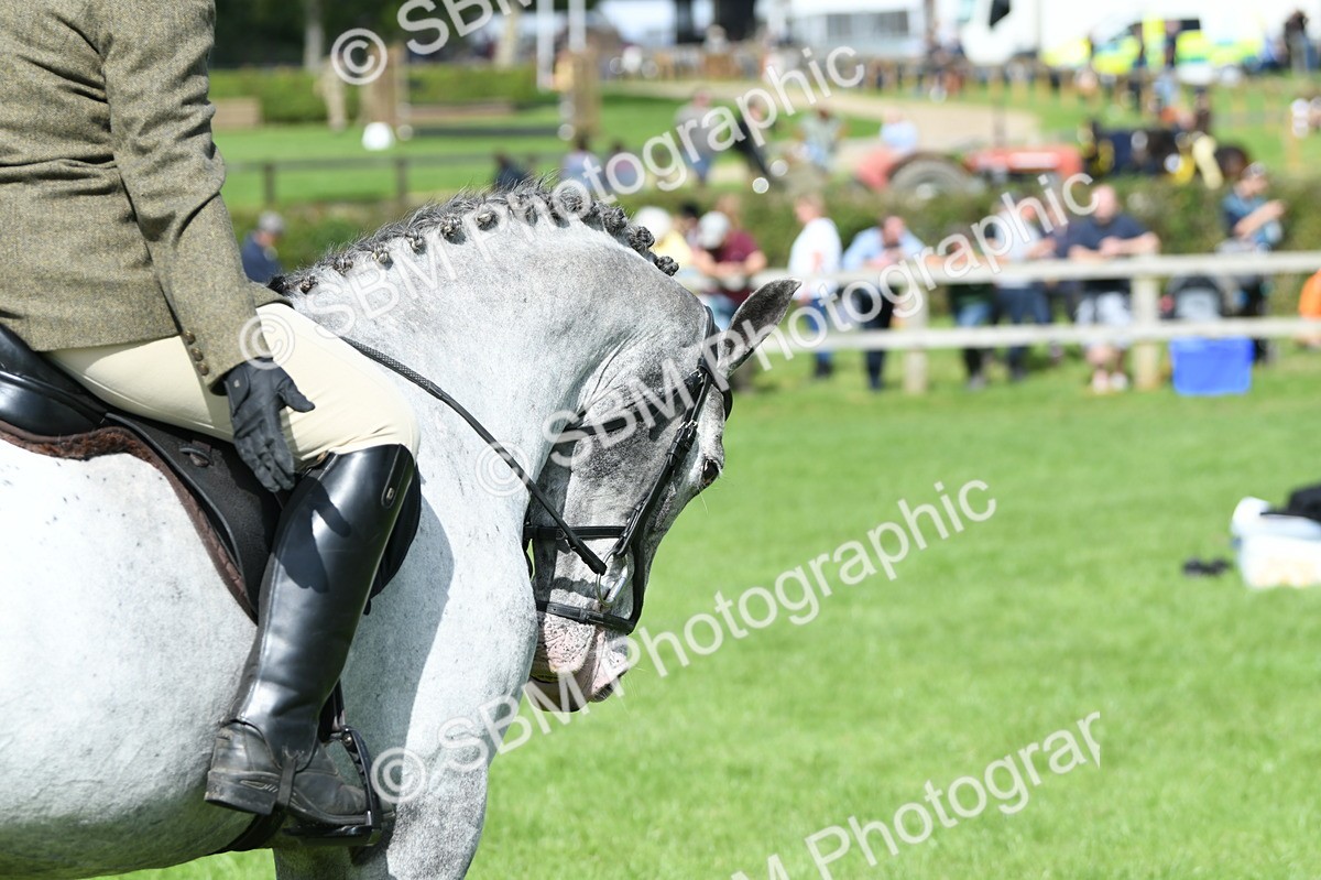 SBM_46897 - S12 - Family Horse & Pony