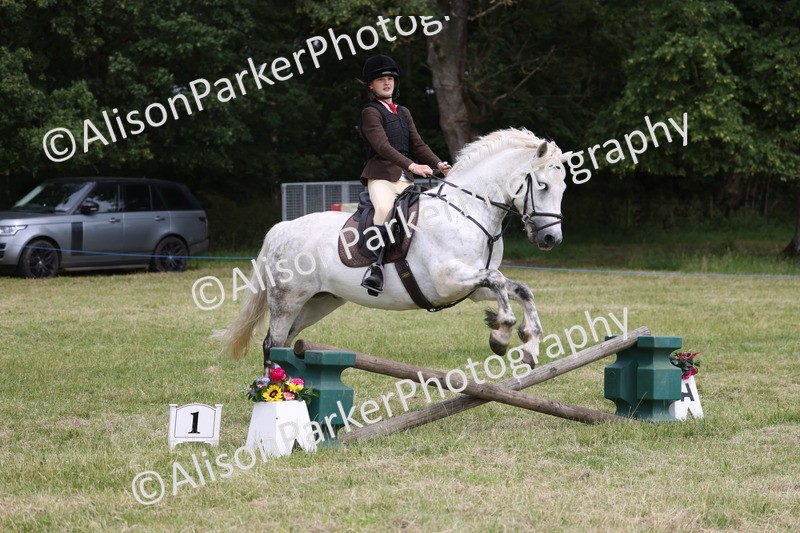 20260614-2989 - Class 22 - Open Working Hunter