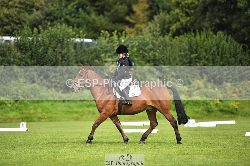 230826-101727-15430 - Sections C & D 10 to End