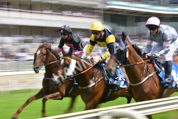 yr10072021r3-22 - Race 3: 2.55pm John Smith's Stayers Stakes