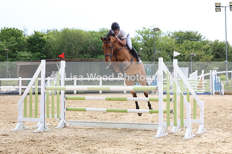 3E7A7810 - Class 8: Senior Foxhunter/1.20 open