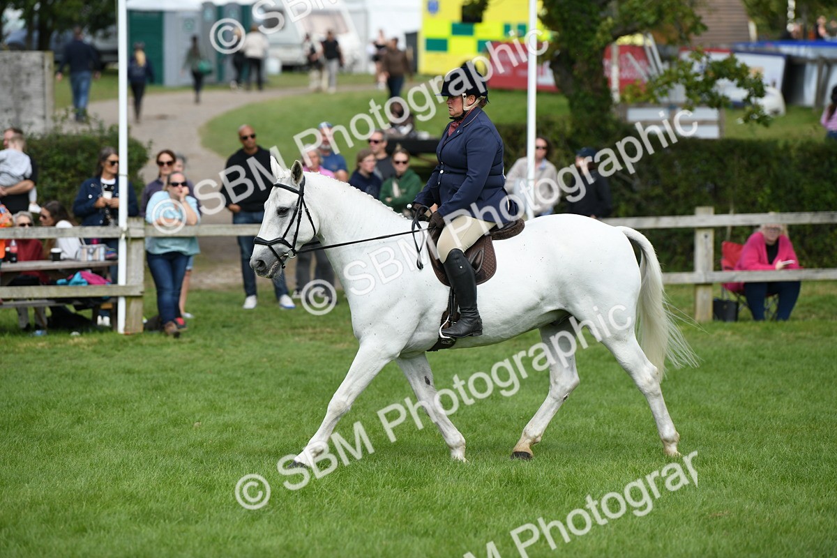 SBM_46826 - S12 - Family Horse & Pony