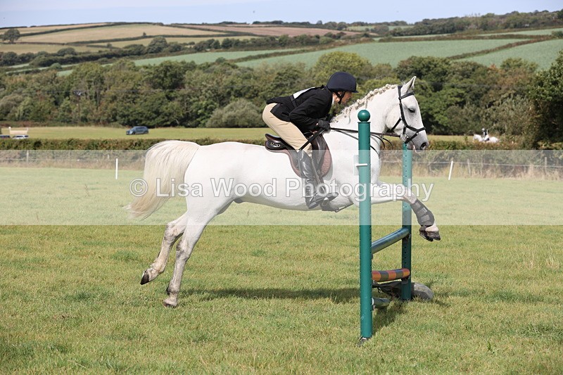JPP_8591 - Class 2: Trekenning: 80cm Showjumping