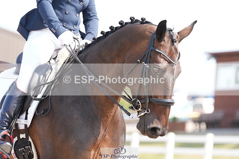 250817-114850-08903 - 140-Jane.GregoryRUTHIES.DREAM