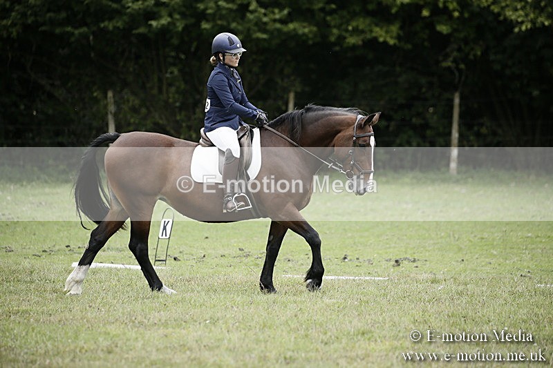 BVR080918 246 - BVRC Novice Dressage & CR 08/09/18