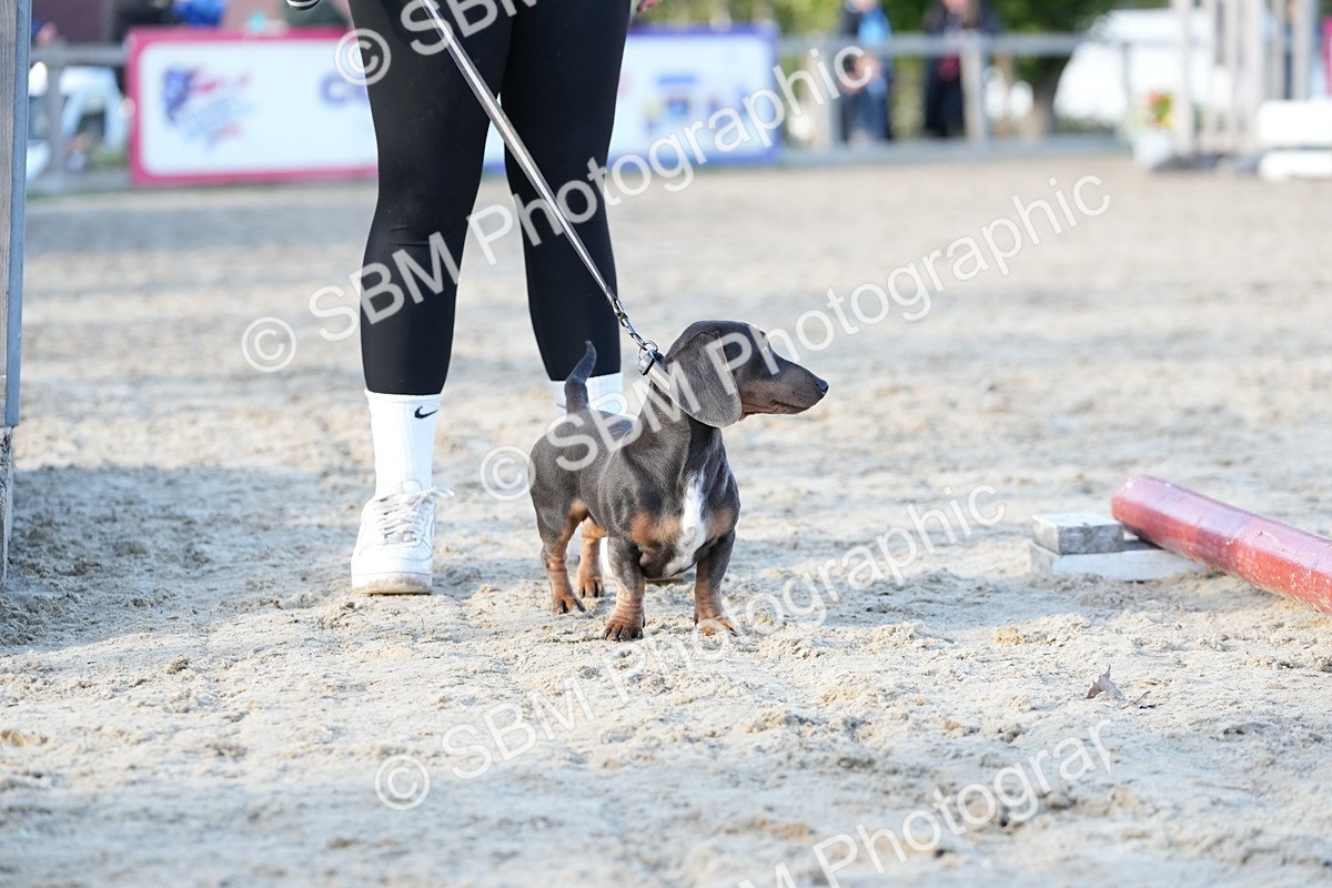 SBM_29018 - J43 - Horse & Hound Open 50cm