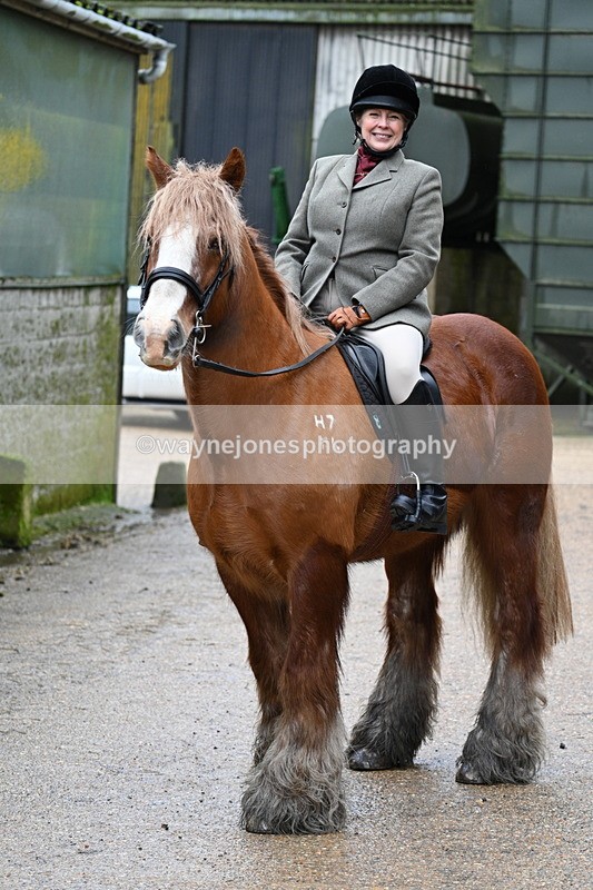 WJ7_8681 - Berks & Bucks - Rowles Farm 15-02-26