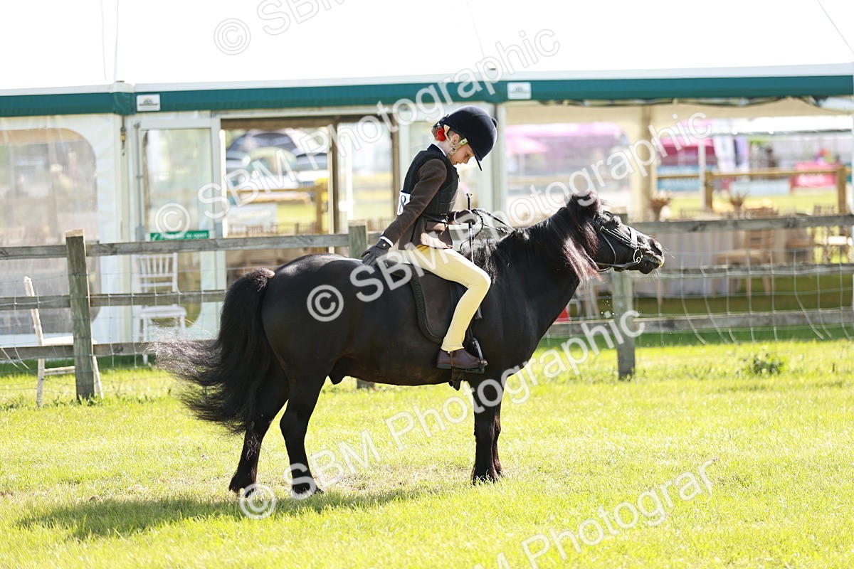 SBM_12600 - Class 106-107 - BSPS LIHS Working Sports Pony