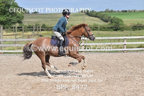 BPP_8472 - 60CM