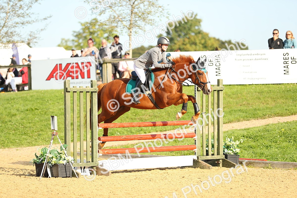 SBM_60273 - J41 - Grand Tour 95cm Championship