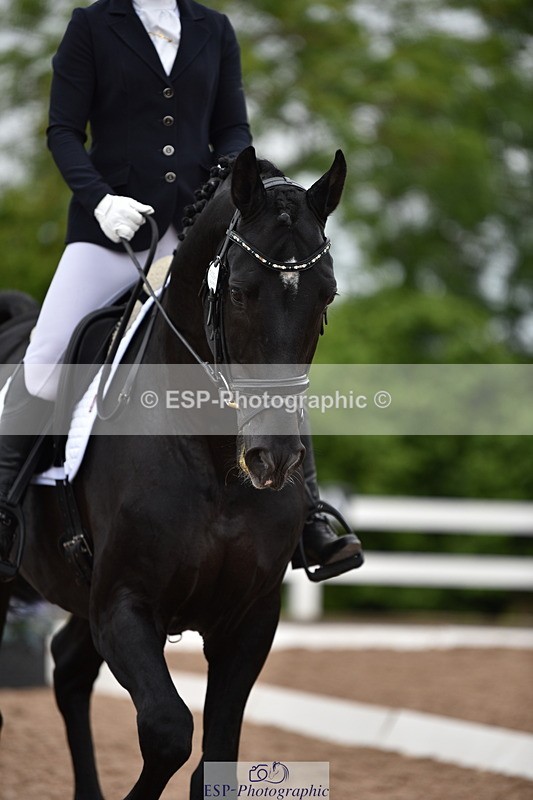 240623A-114250-17284 - Cls 47 BD Novice 22