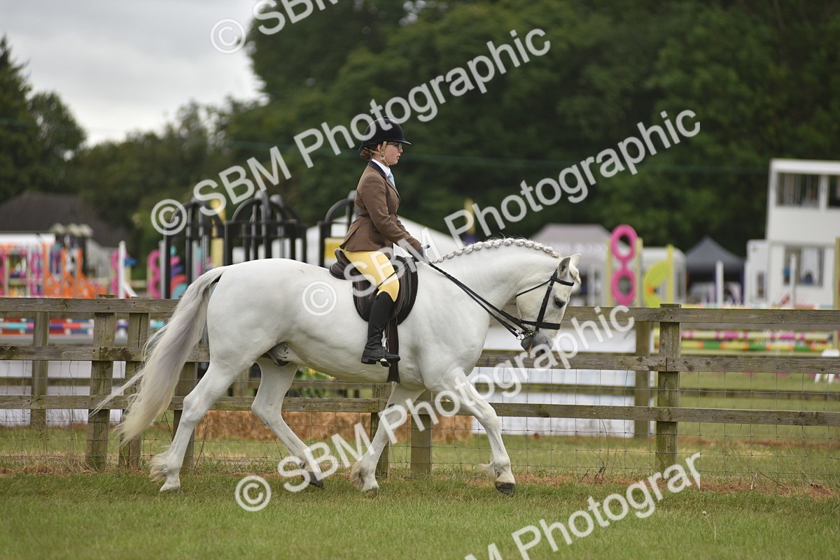 SBM_11984 - Class 110-112 - LIHS BSPS Performance Pones