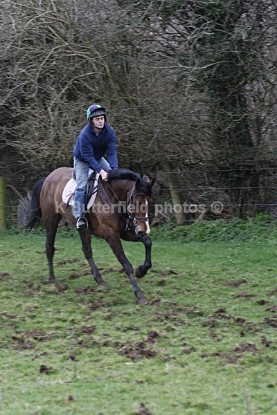 _MGN0596 - Summerhill Chase 2012