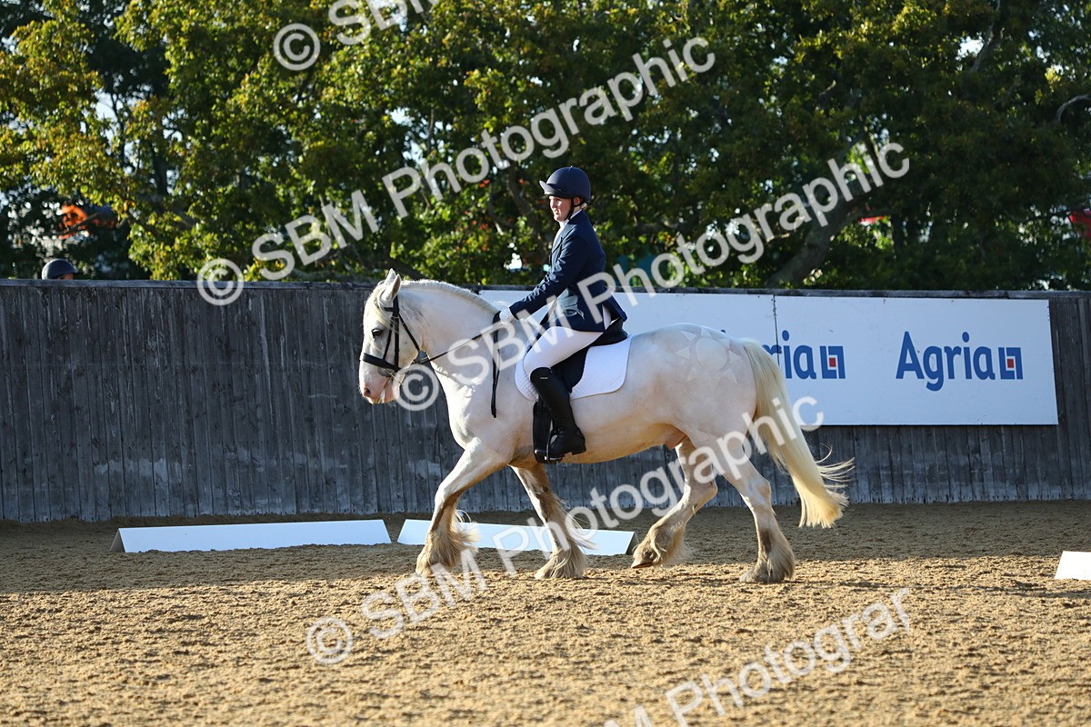 SBM_31668 - D11 - Small Tour Championship Prelim 1