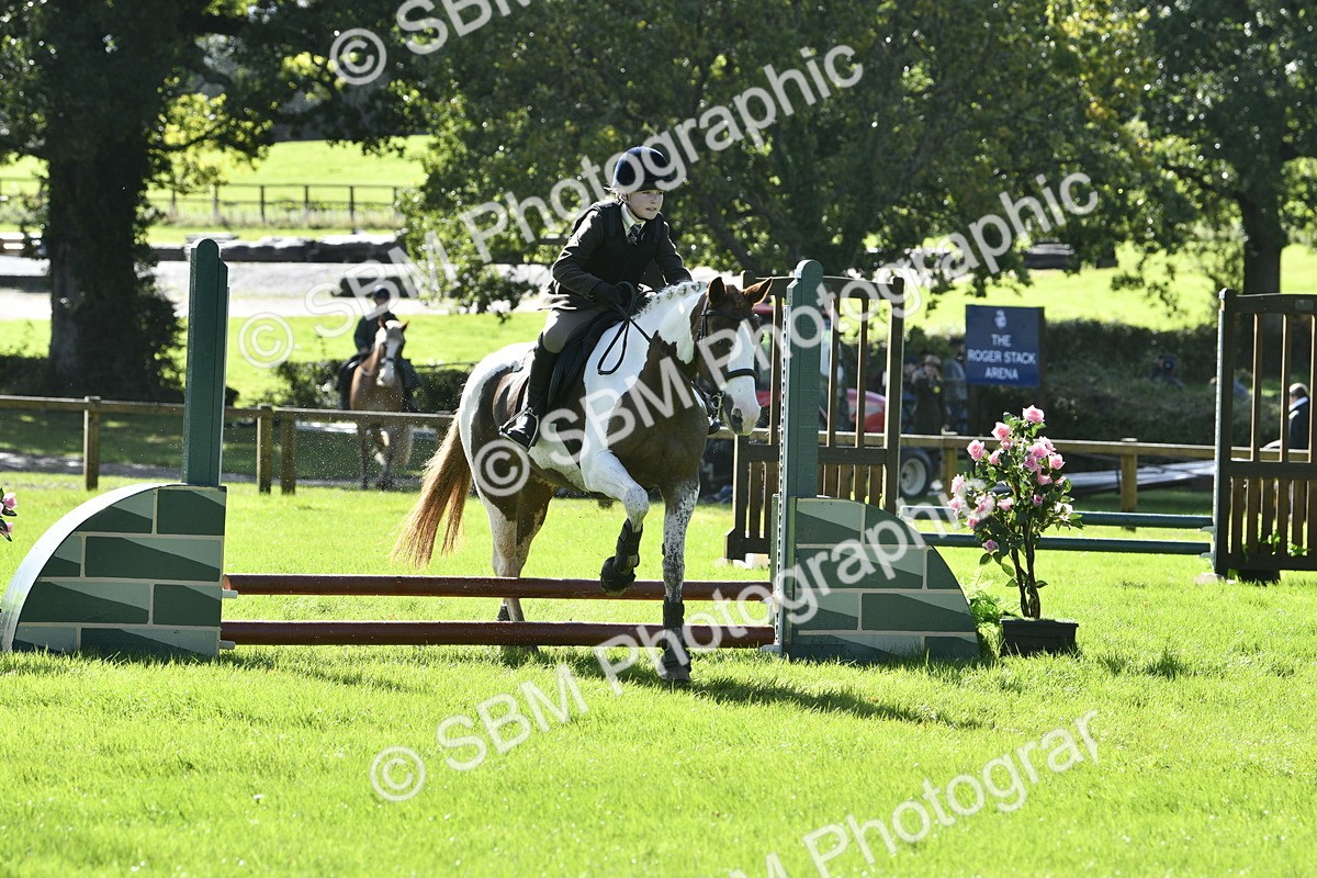 SBM_38179 - S31 - Novice & Newcomer Working Hunter Pony