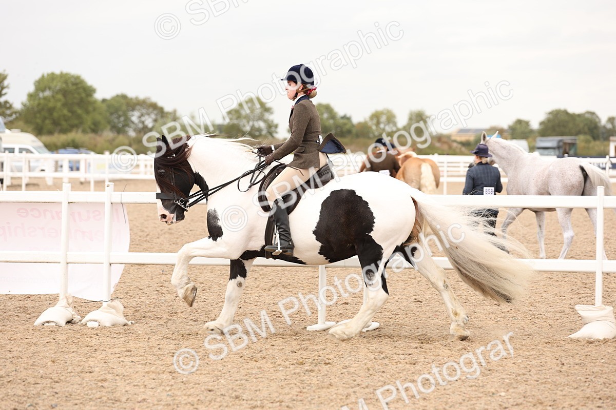 SBM_19691 - Class 216 - Ridden Traditional - Native Cob