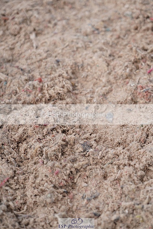 250608-105358-02216 - Cls 5 Pony Discovery and 90cm