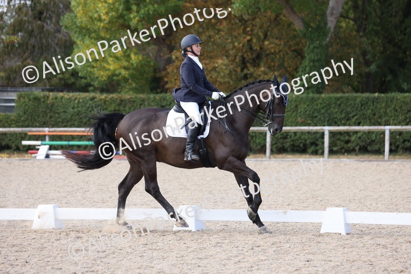 20250820-1584 - Class 21 - Advanced Medium 5