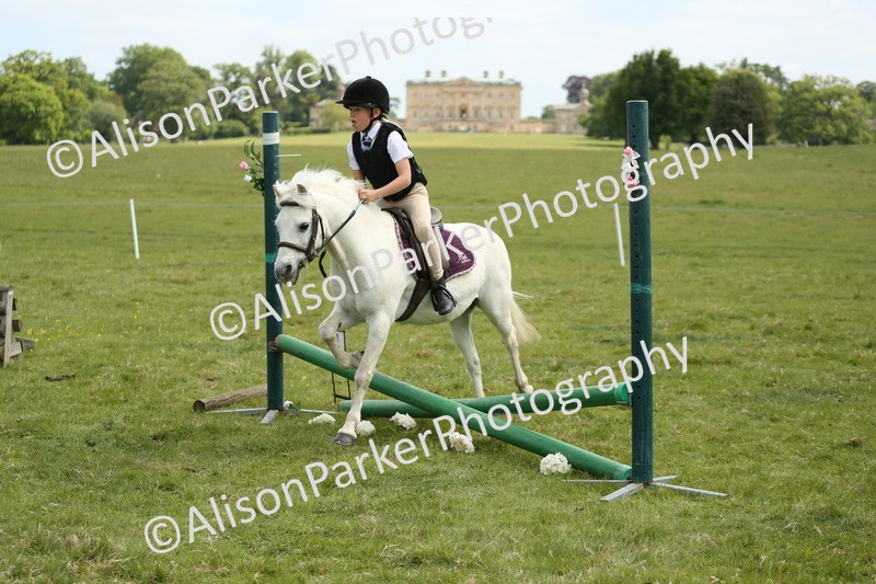 20250517-3028 - Class 25 - Horse & Hound