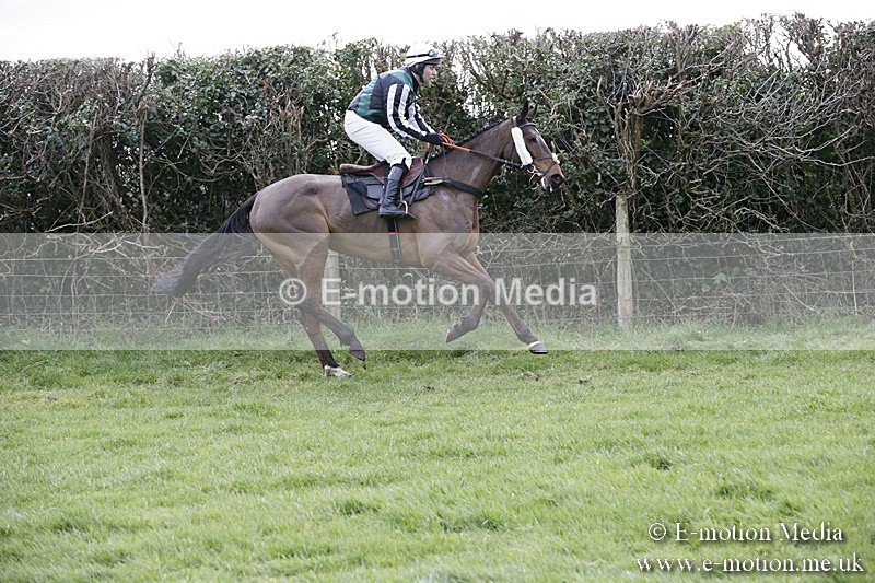PtP 040218 242 - Point-to-Point Milborne St Andrew 04/02/18
