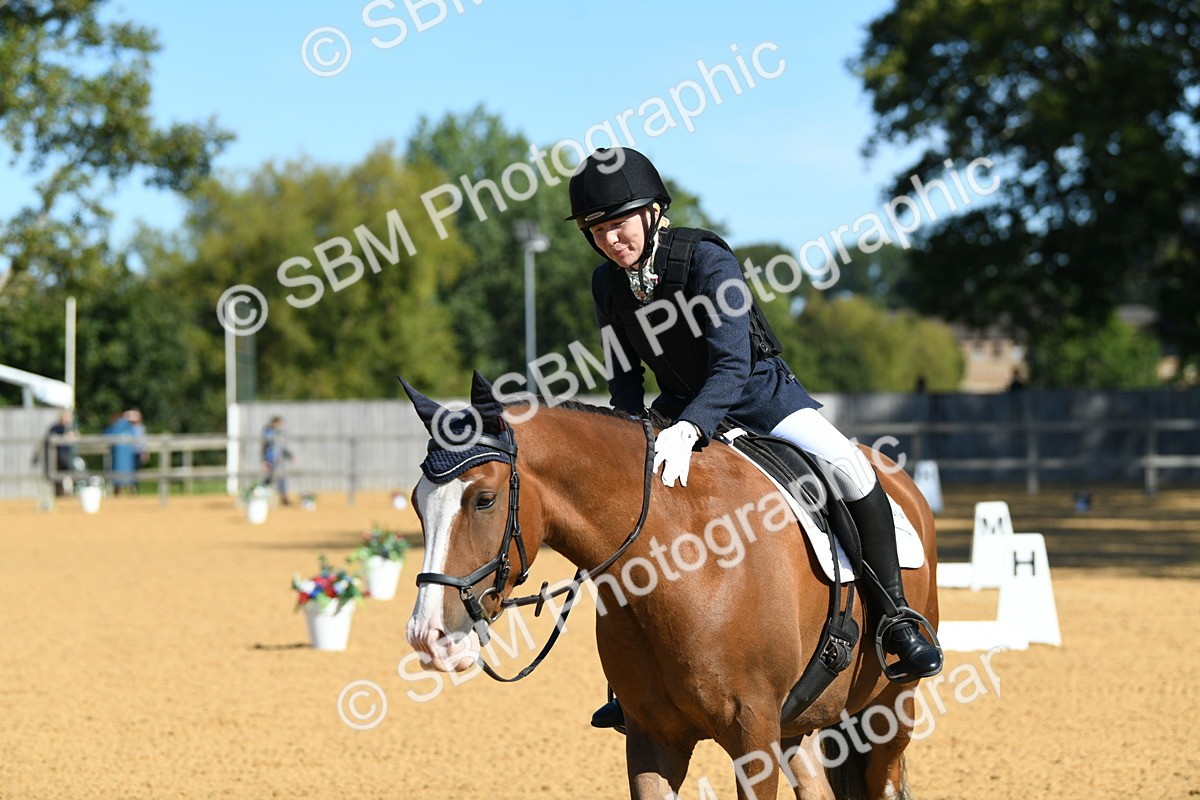 SBM_18160 - D4 - Small Tour Championship - Intro B