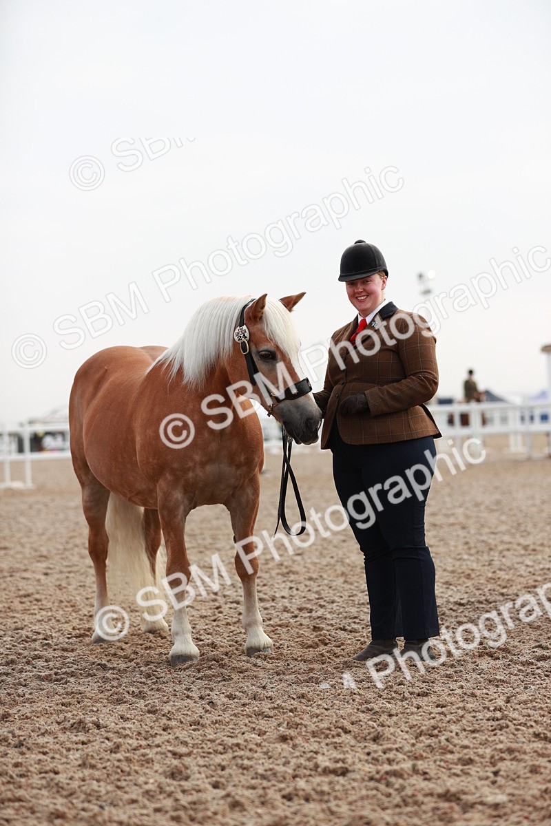 SBM_09519 - Class 201 Best Turned Out IH