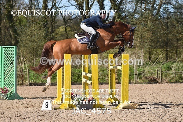 JAC_4575 - CLASS 11 SAT Andrew Hamilton Coach, RHS Foxhunter Championship Qualifier