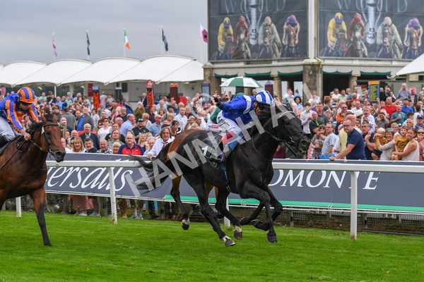 230823-Race 4-Mostahdaf-0593 - Race 4 3.35pm Juddmonte International Stakes