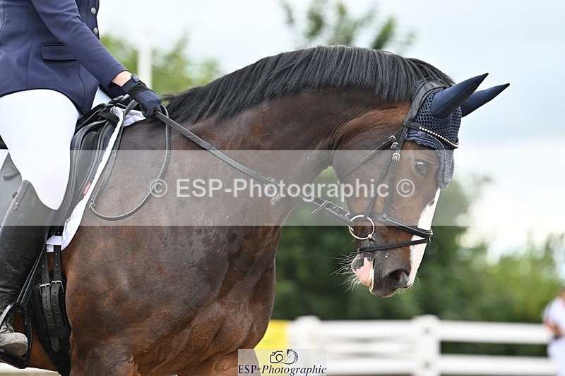 250705-175538-04442 - N2 Section BDNOV2 16.29 to 17.46