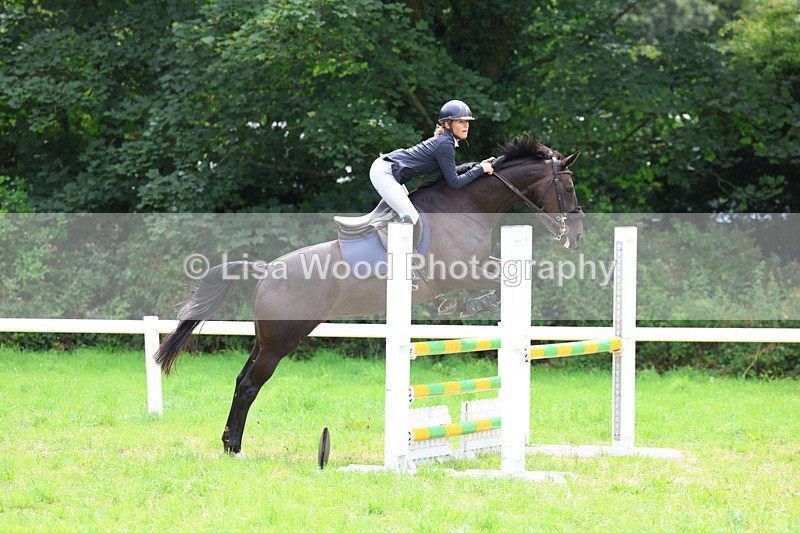 3E7A7361 - Class 5: Senior British Novice/90cm open