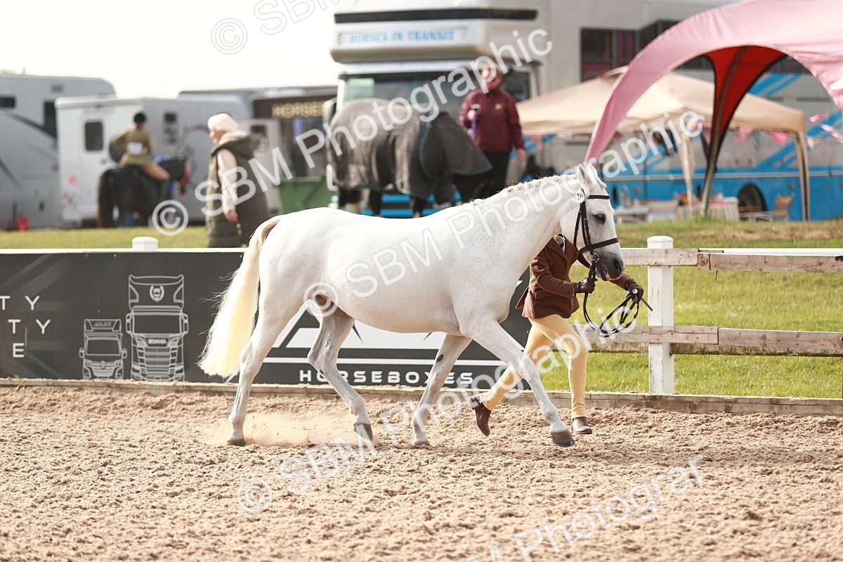 SBM_09860 - Class 203 Young Handler, 10 years and under