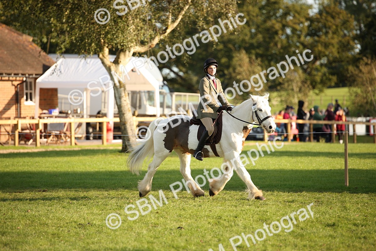 SBM_54418 - S27 - Mature Veteran - Ridden