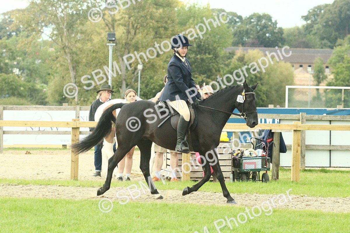 SBM_74095 - S 61 - Show Pony & Show Hunter Pony Ridden