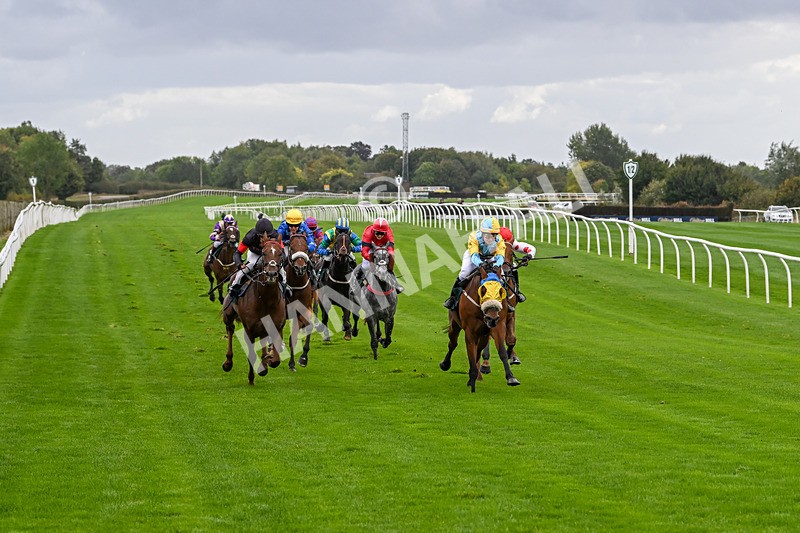 021024-Race 1-Foreseeable Future-8975 - Race 1