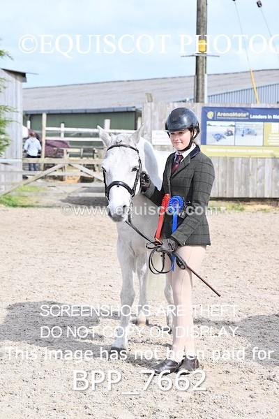 BPP_7662 - RING 1  (RIDDEN HORSES / IN HAND / VETERAN ETC)