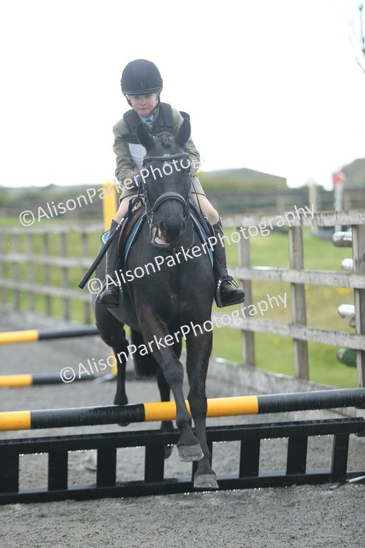 20260412-1892 - Show Jumping