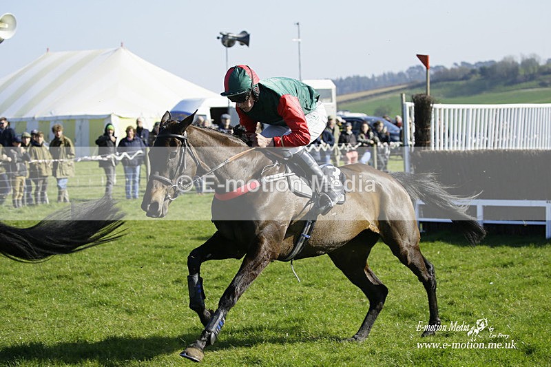 PtP 190322 579 - Wilton Hunt PtP Milborne St Andrew 19/03/22