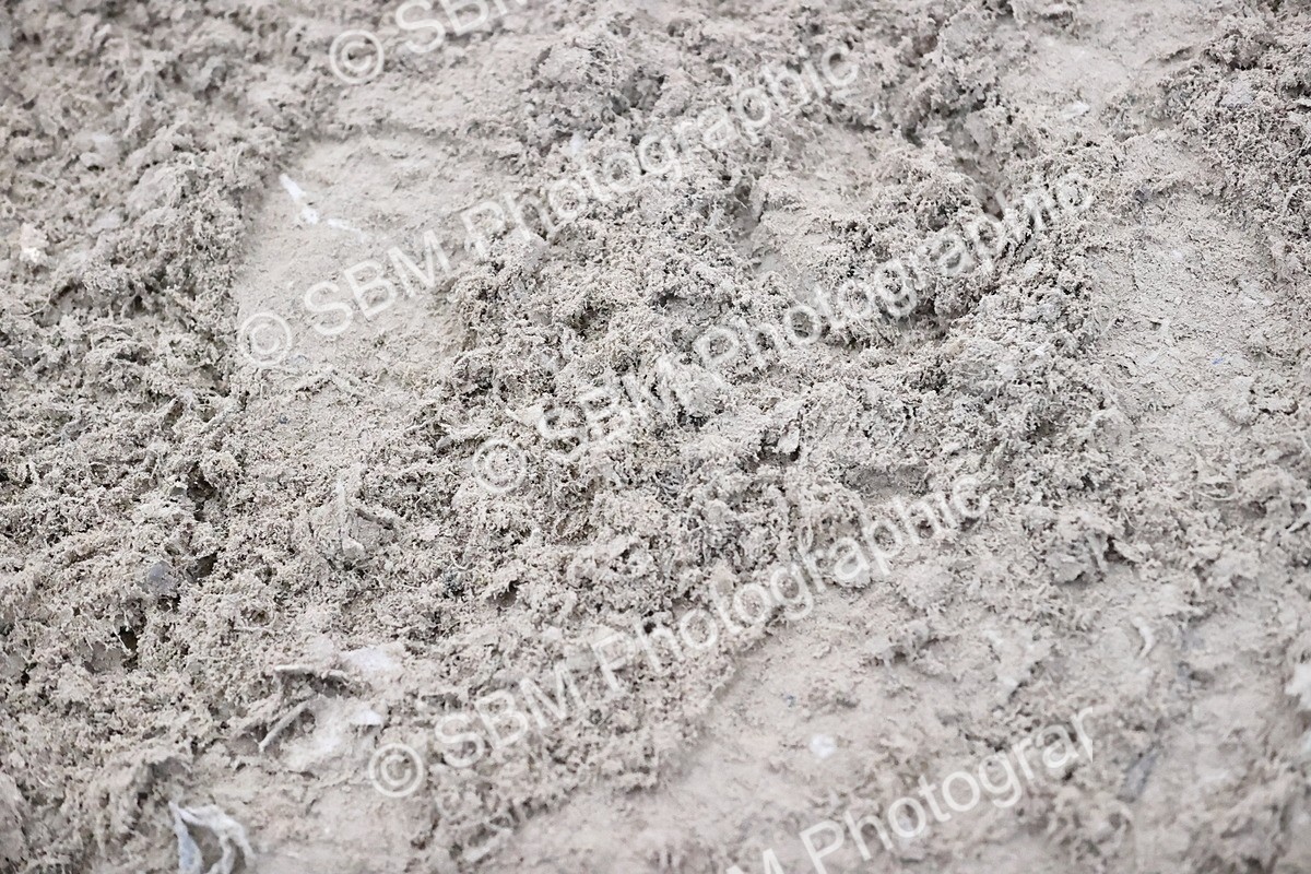 SBM_005271 - Class 18 - National 1.30m 1..40m