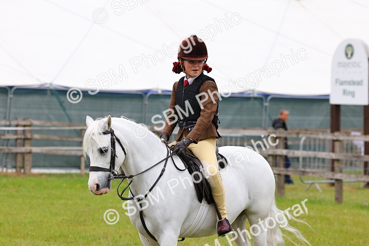 SBM_08715 - Class 42-43 - LIHS BSPS Heritage Working Sports Pony