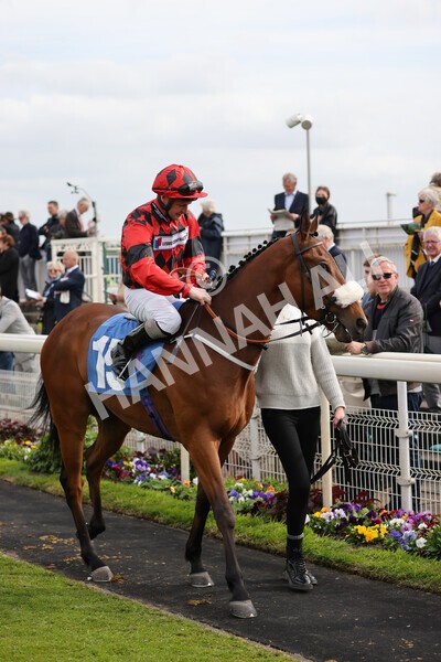 yr13052022r6-7 - Race 6 4.45pm Yorkshire Equine Practice Stakes