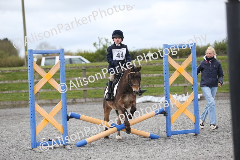 20260412-0562 - Show Jumping