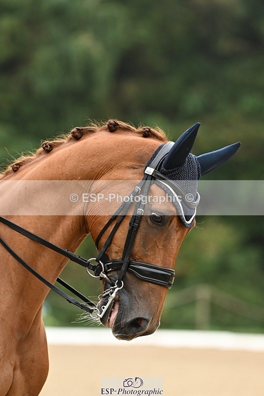 240811-113955-05570 - 253-Pauline.Jaggs-Emilio.Onneke