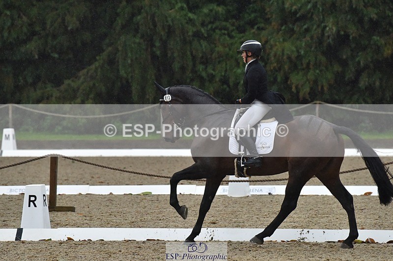 231018-154458-00871 - 012-ROMANY.CRICKET-Nana.Dalton-DR