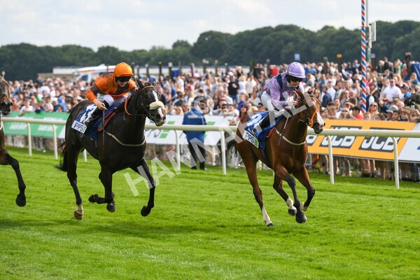 yr11062022r8-23 - Race 8 5.25pm Clean up with PPS Stakes
