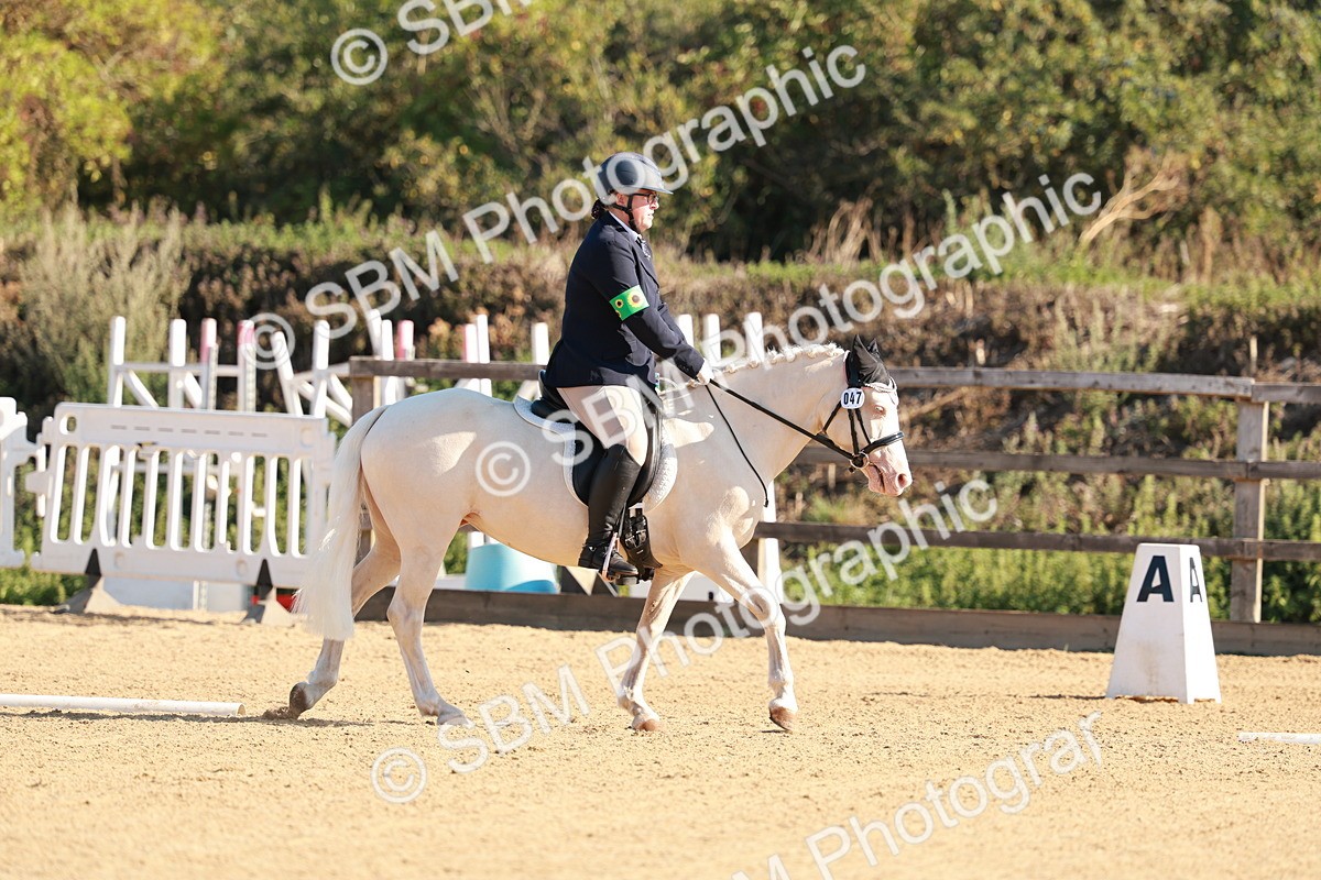 SBM_009095 - Class 1 - Intro 2