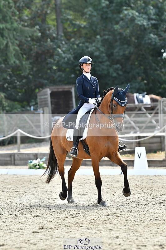 260802A-153037-07431 - Intermediate Bronze