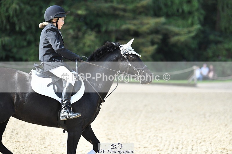 230820-095153-00077 - 70cm - Round 1