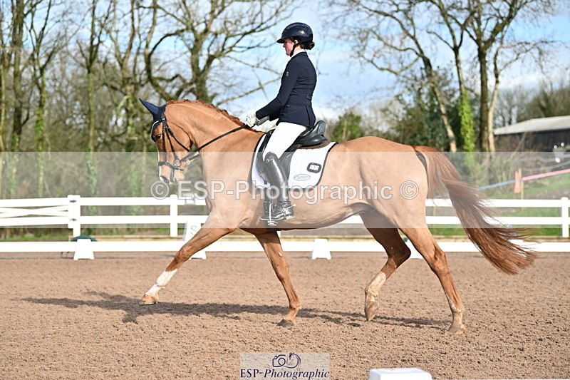 240218A-114244-06818 - 272-Beth.Bainbridge-Newton.Dreamcatcher