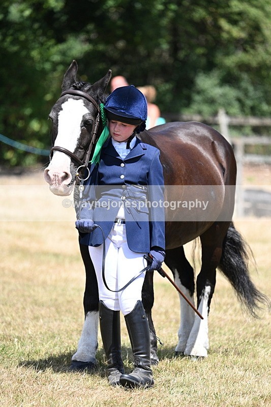 WJ7_2265 - Class 5 Most Handsome Gelding (up to 14.2hh) in hand